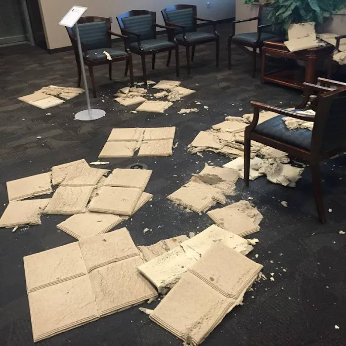 Americlean/Water Out Picture 6