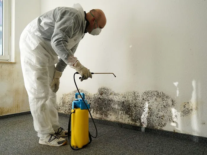 Recovery Solutions Picture 4