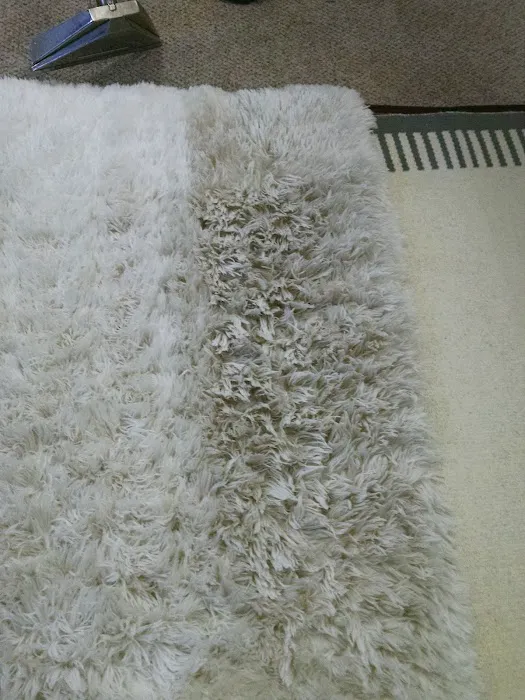 Lake Michigan Carpet Cleaning Picture 1