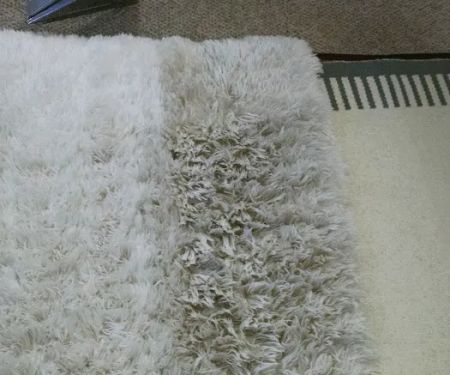 Lake Michigan Carpet Cleaning