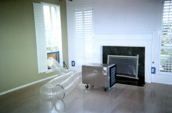 Lake Michigan Carpet Cleaning Picture 2