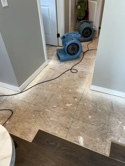 Disaster Response Picture 4