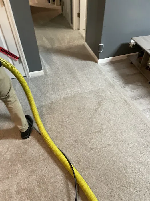 Stanley Steemer Picture 4