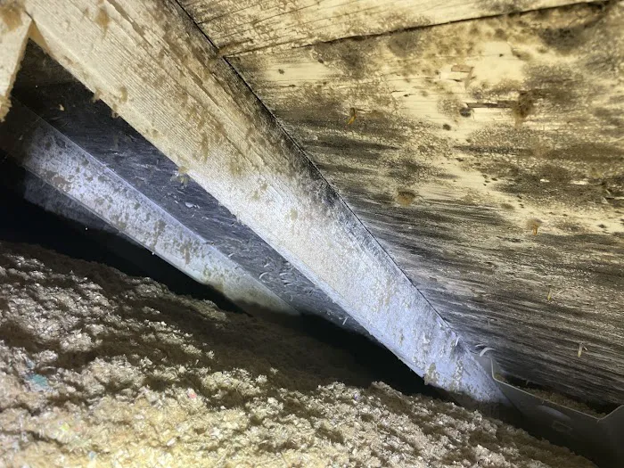 Complete Restoration & Cleaning Services Picture 6