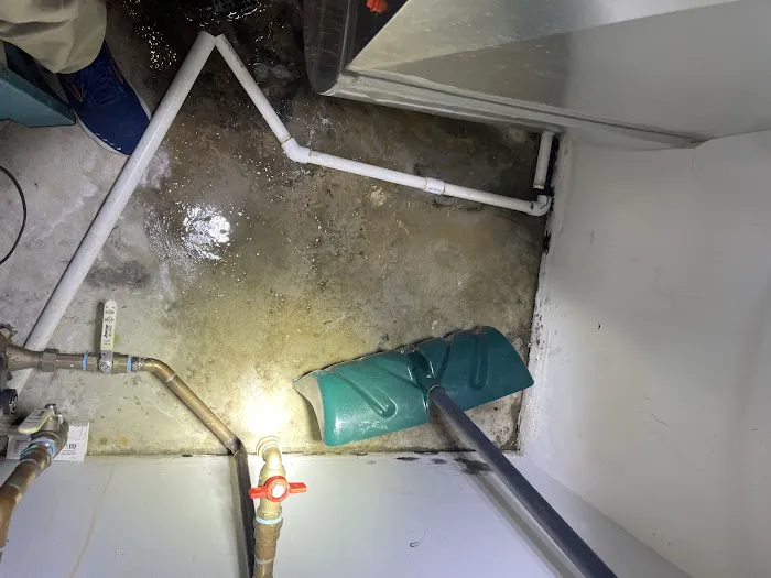 Complete Restoration & Cleaning Services Picture 5