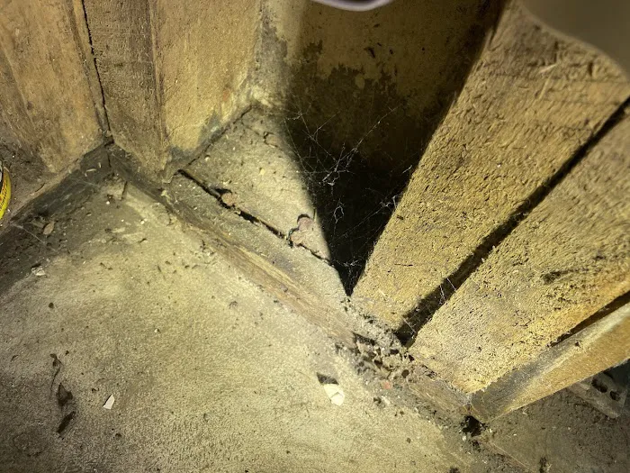 Complete Restoration & Cleaning Services Picture 3