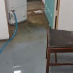 All Call Restoration