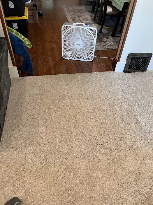 Brown and Sons Cleaning Company LLC Picture 10