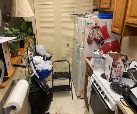 All the Things Michigan