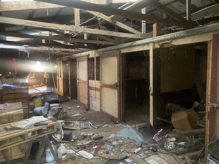 All the Things Michigan Picture 3