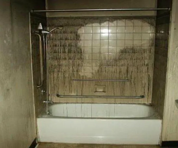 Sunrise Cleaning & Construction Services Picture 6