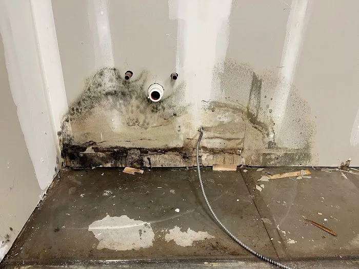 Partner of Mid-Michigan Picture 4