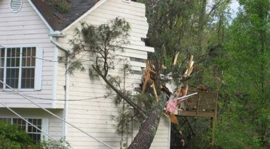 McCardel Restoration, LLC Picture 6