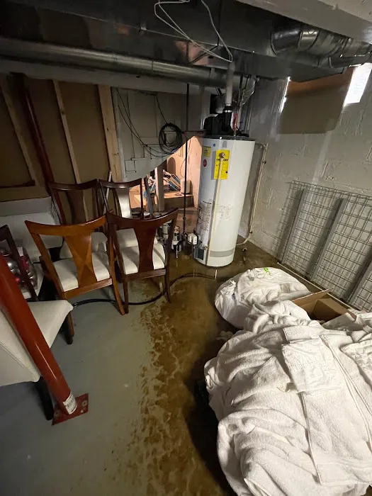 Daleen Restoration & Remediation Picture 8