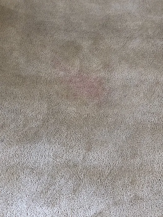 Mr Super Clean Picture 7