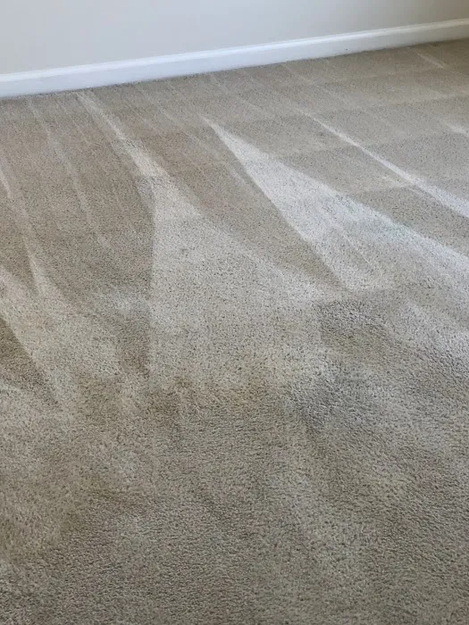 Mr Super Clean Picture 9