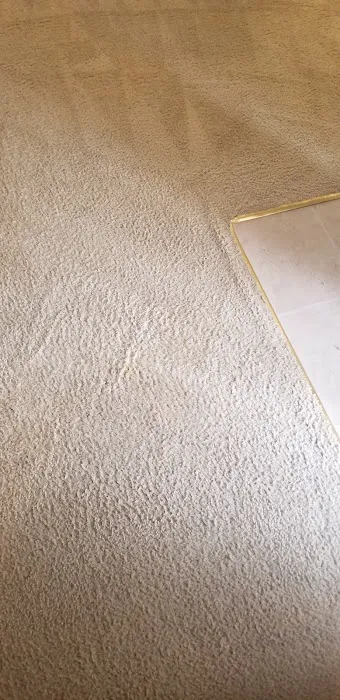 Mr Super Clean Picture 5