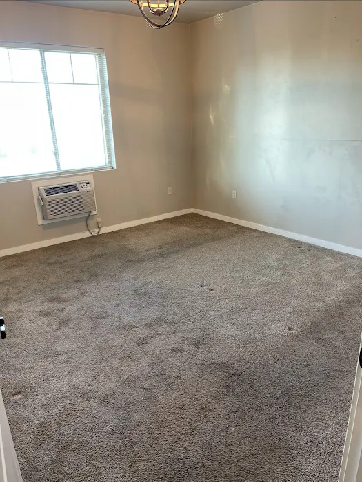 Mr Super Clean Picture 10