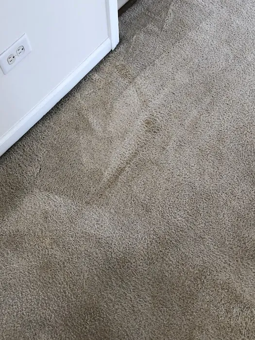 Mr Super Clean Picture 6