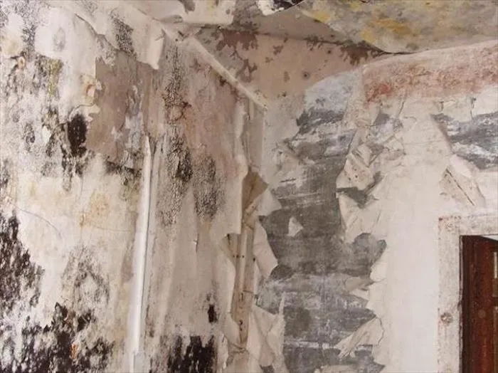 SERVPRO of Southeast Milwaukee, Southeast Waukesha County Picture 5