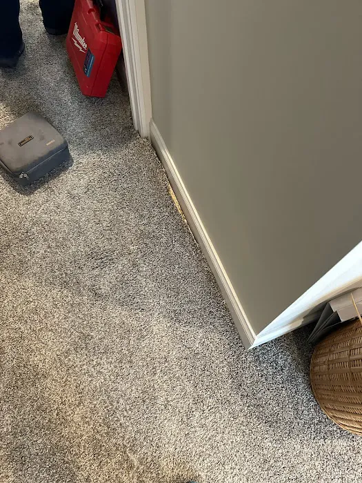 Emergency Restoration Specialists Picture 2