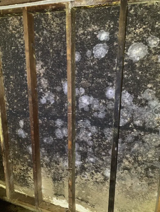 Enviro Decon Picture 6