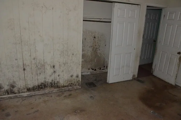 Enviro Decon Picture 1