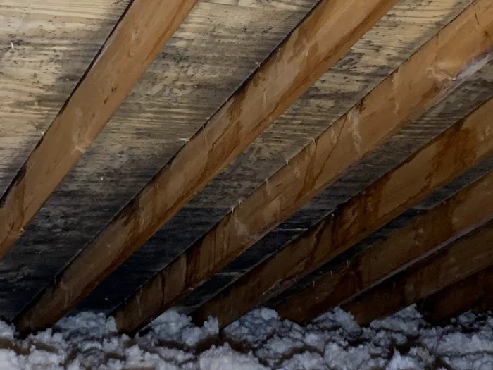 Enviro Decon Picture 8