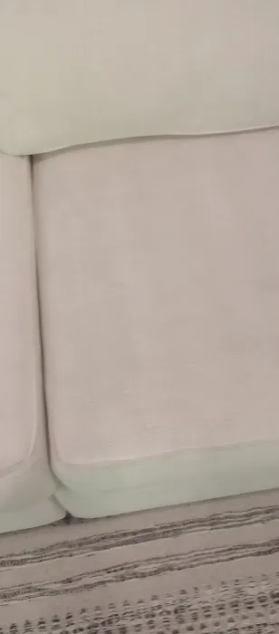 Stanley Steemer Picture 8