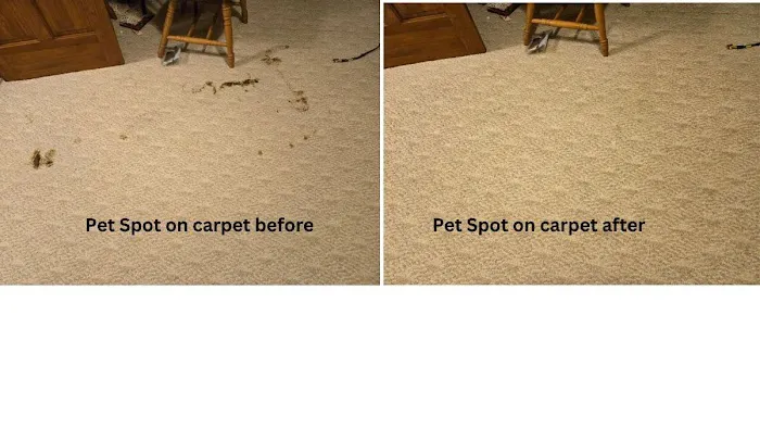 Chem Dry of Allen County Picture 6