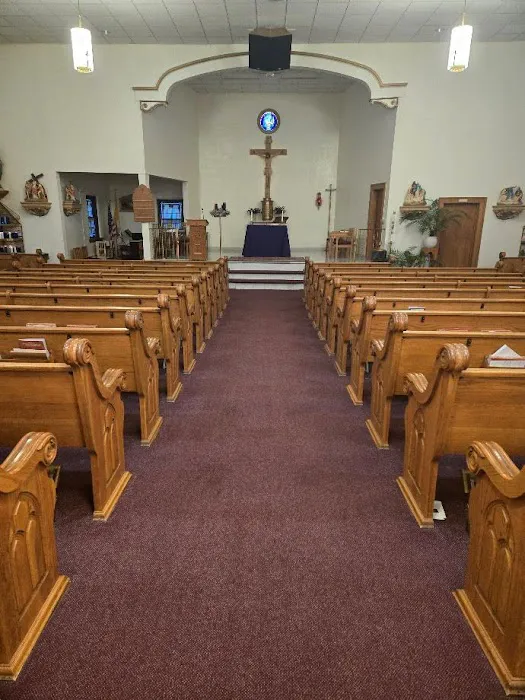 Chem Dry of Allen County Picture 1