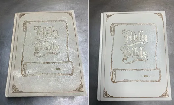 Protechs Restoration Inc. Picture 1