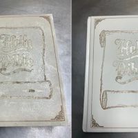 Protechs Restoration Inc. ico