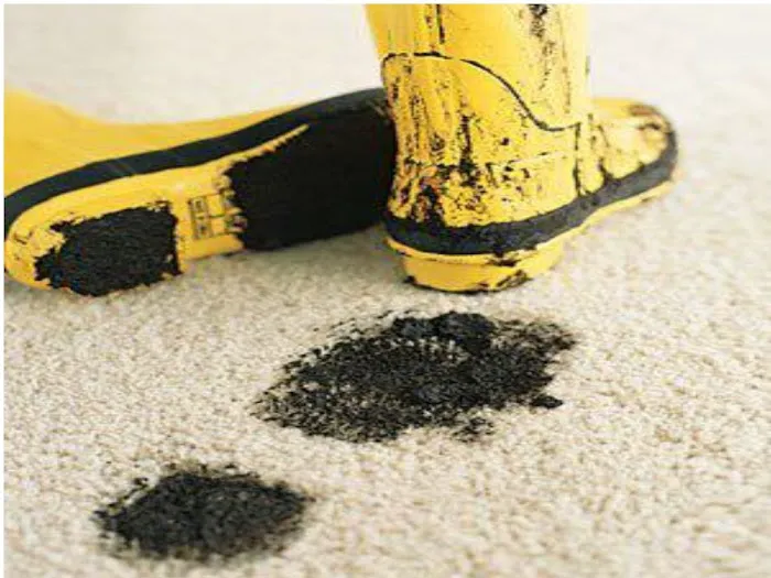 Carpet Masters Picture 10