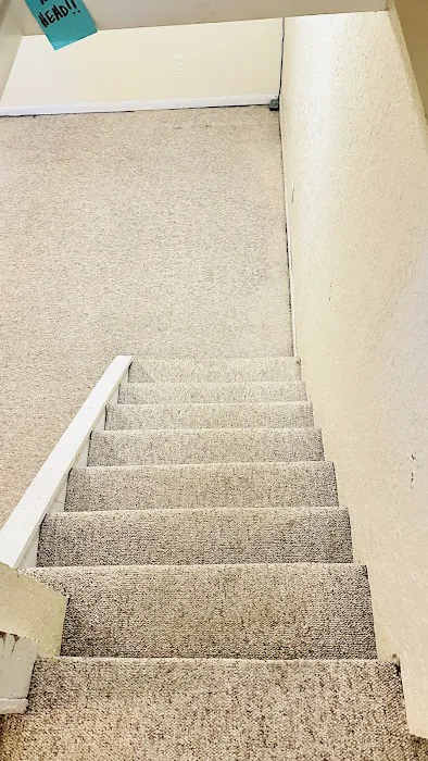 Carpet Masters Picture 5