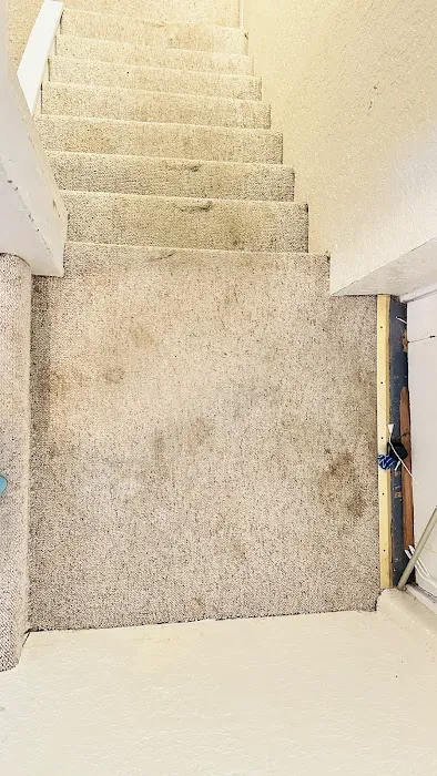 Carpet Masters Picture 9