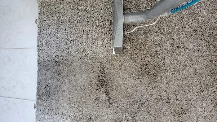 Steam-It Inc. Picture 3