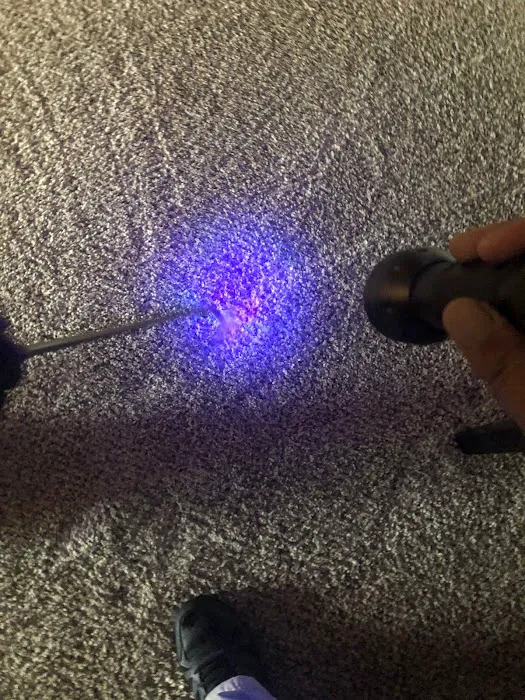 Woodson's Carpet Cleaning & Restoration Picture 10