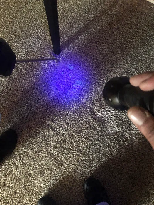 Woodson's Carpet Cleaning & Restoration Picture 6