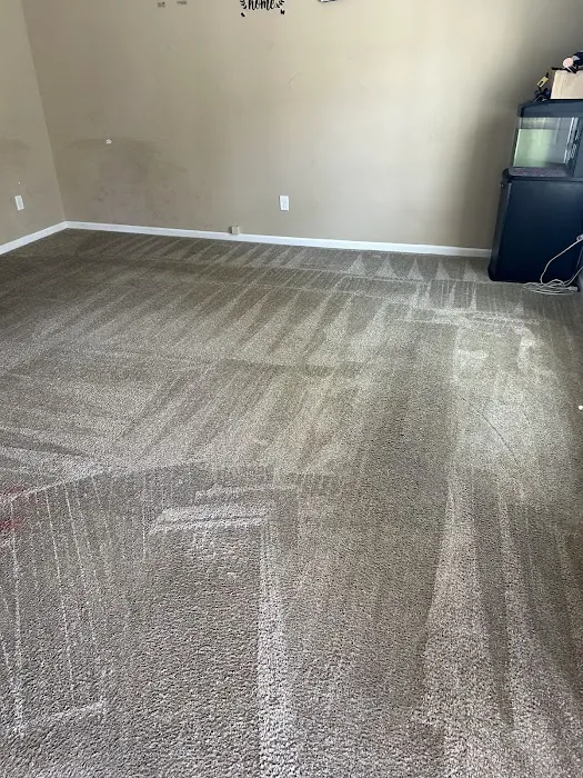 Woodson's Carpet Cleaning & Restoration Picture 4