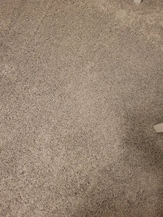 O. G Professional Carpet Care Picture 2