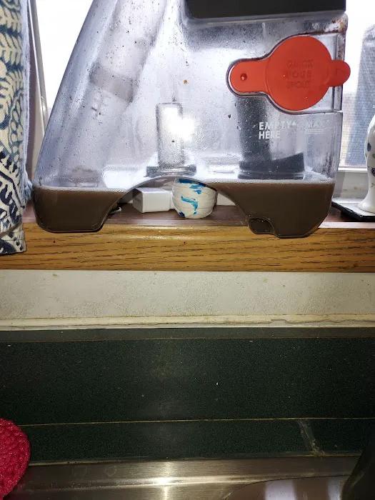 Fuller's Chem Dry Picture 5