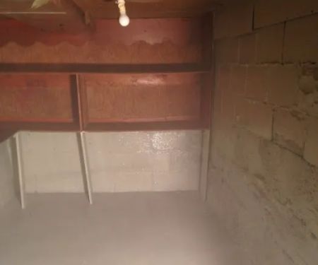 Action Environment LLC