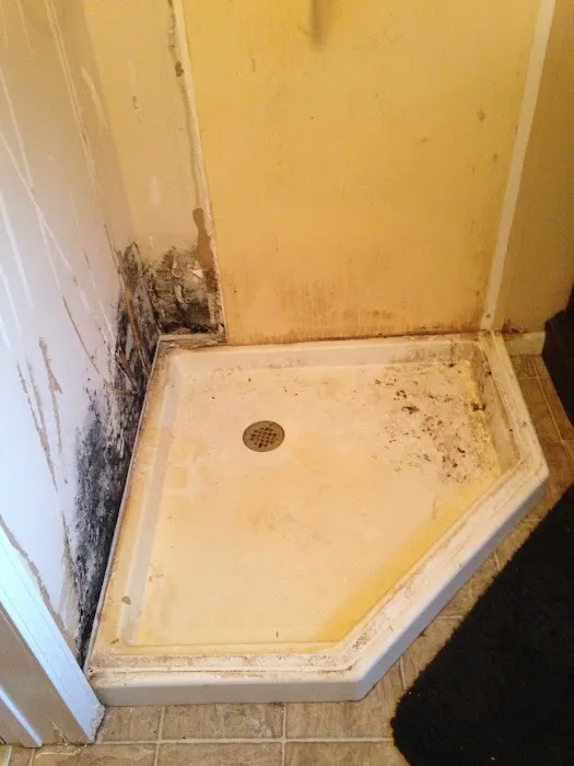 Action Environment LLC Picture 7