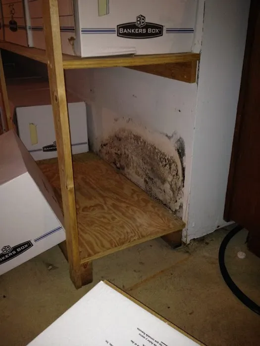 Action Environment LLC Picture 2