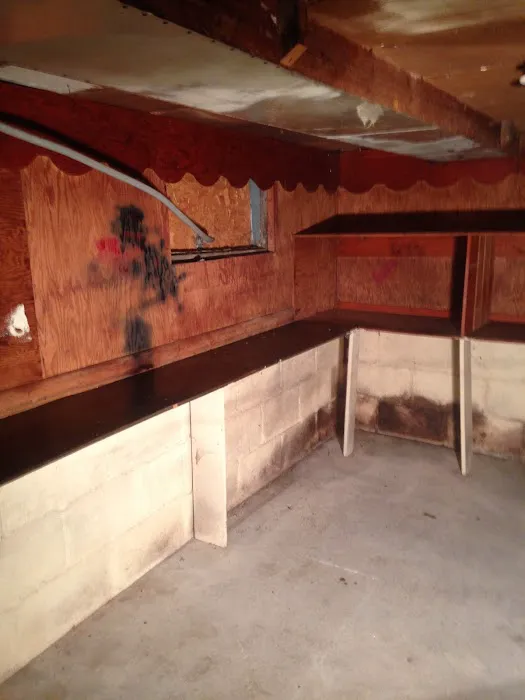 Action Environment LLC Picture 9