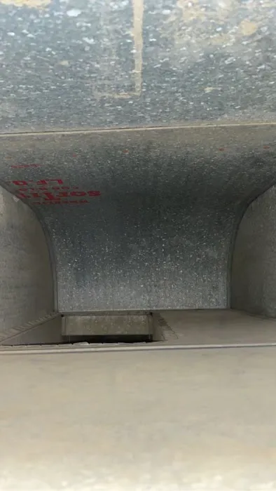 Titan Mold Removal Picture 4