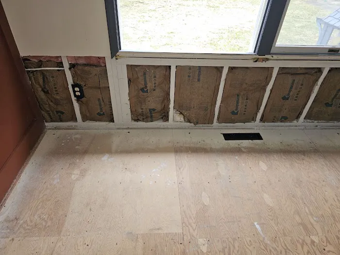 Titan Mold Removal Picture 2