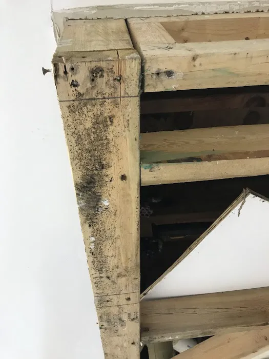 1-800 Water Damage of Washtenaw County & Taylor Picture 5