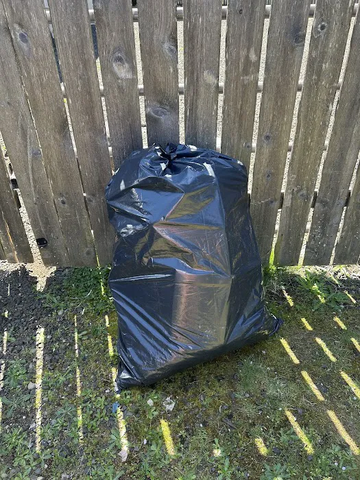 Rapid Mold Removal, LLC Picture 1